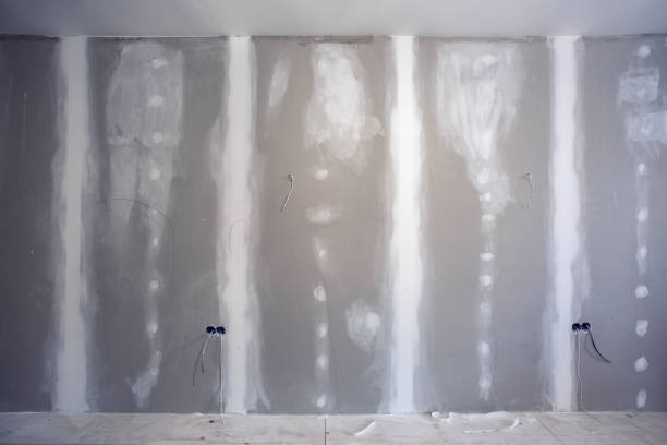 Best Environmental Consulting for Mold Prevention  in Grizzly Flats, CA